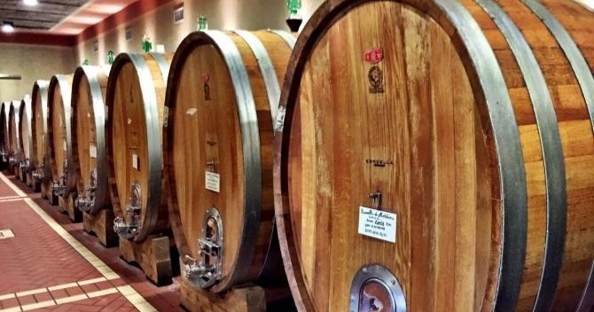 Degustazione di base e tour della cantina, 1