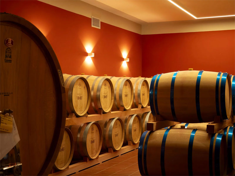 Tour cantina Montalcino con pranzo